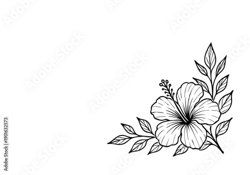 Hibiscus Flower Hand Drawn Illustration Vector by AZ for Books, Arts, Design and Decoration Graphic Asset
