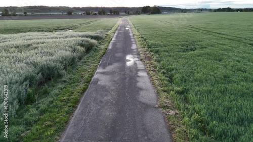A road with a grassy field on either side. The road is wet and the grass is green