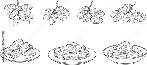 Hand Drawn Dates Fruit Collection with Whole and Pitted Dates on Plate and Bowl Vintage Engraving Sketch Vector