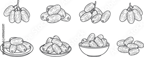 Hand Drawn Dates Fruit Collection with Whole and Pitted Dates on Plate and Bowl Vintage Sketch Style Vector