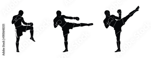 Silhouette of a man performing various martial arts kicks.