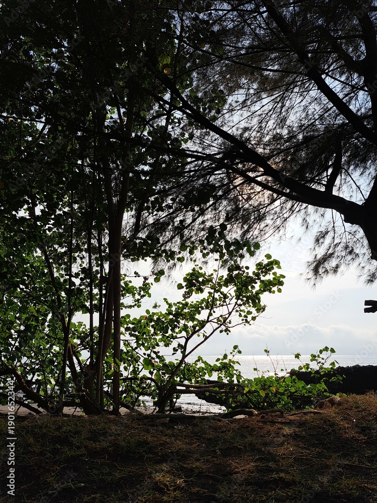 Fototapeta premium Trees and Waterfall in Forest Landscape.