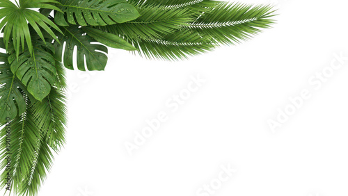 Tropical corner decoration with lush Monstera and palm leaves, some with water droplets, creating a refreshing jungle feel