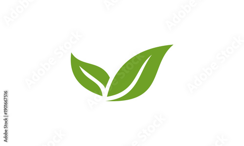 Two vibrant green leaves symbolizing nature and eco-friendliness.