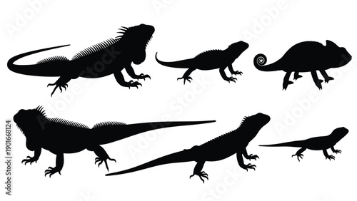 Lizard Vector Silhouettes Set, Iguana, Chameleon and Gecko Reptile Illustration Collection for Nature Logo Design, Isolated Black Wild Animal Icons
