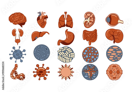 Virus And Human Organs Element