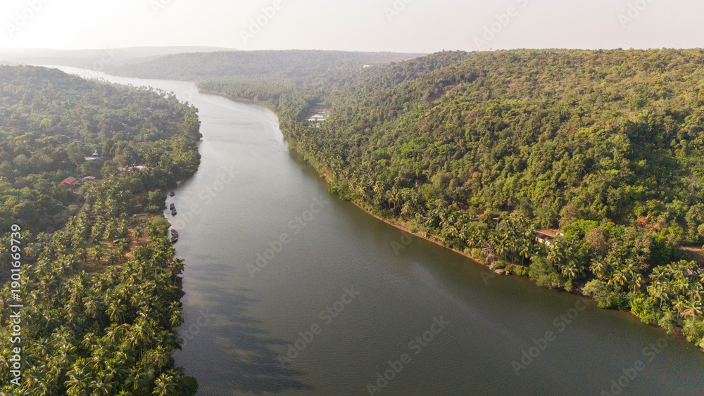 Fototapeta premium Aerial view of the Tiracol River at the Goa–Maharashtra border in winter, showing coastal vegetation, mangroves, dry deciduous forest, coconut palms, and native trees along tidal saline waters