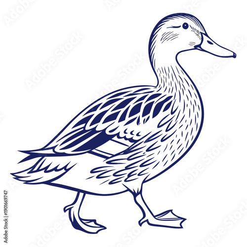 Blue illustrated duck animal bird quack