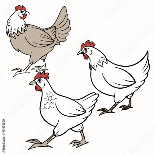 Three cartoon chickens walking animals farm animals