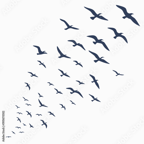 Dark blue birds flying in formation flock white background