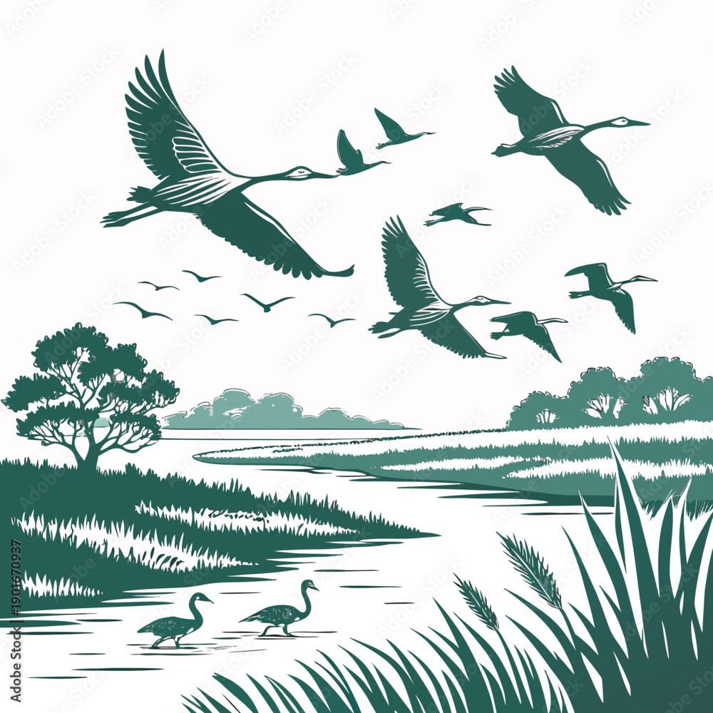 Fototapeta premium Green of flying and walking birds in wetland flying birds