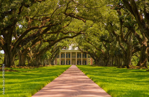 Foto A classical southern architecture house with white columns seen through a long alley of large green oak trees