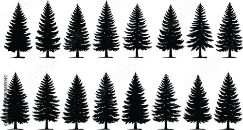 Pine tree silhouette collection featuring evergreen forest trees in multiple shapes isolated on white background vector illustration set