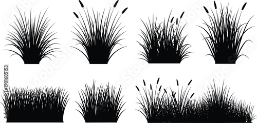Set of grass and reed silhouettes collection meadow wetland plants natural vegetation isolated on white background vector illustration