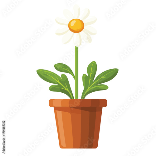 Green flat icon of camomile flower in pot with stem and leaf. Bloom with long diamond petals . Isolated on white. Vector illustration. Eco style. Nature , vector style simple color