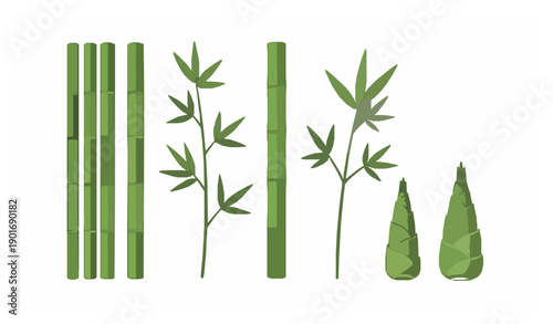 Bamboo plant elements vector set with green stalks and leafy shoots isolated on white background
