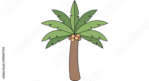 Cartoon Coconut Palm Tree with Coconuts and Green Leaves