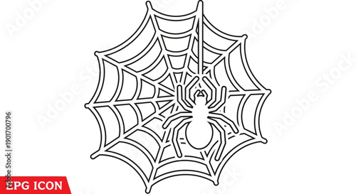 Spider and Web Icon