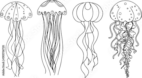 Jellyfish in Ink: A quartet of jellyfish, rendered in intricate ink linework, gracefully display their unique forms and ethereal beauty against a neutral canvas.