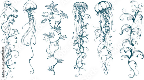 Marine Elegance: Enchanting Illustrations of Jellyfish and Botanical Grace. Showcasing the beauty of the sea's creatures combined with the elegance of botanical designs.