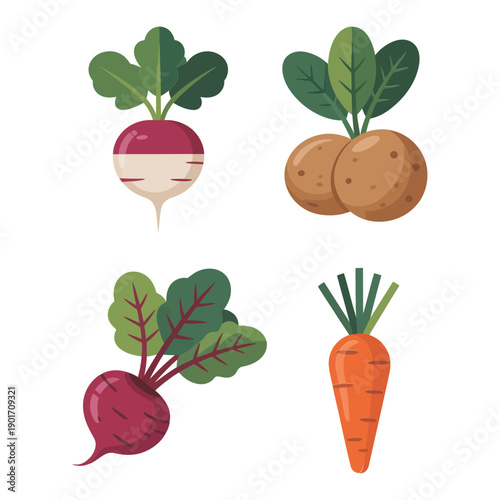 Root vegetables icons, turnip potato beet carrot, harvest festival branding, roasting class session, soup making demo, cellar storage tips workshop