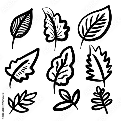 Hand-drawn doodle leaves images with lines. Hand-drawn flower plant sketches.