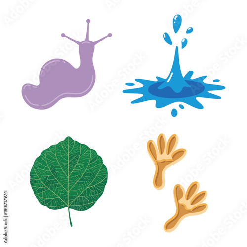 Nature tracking icons, purple snail, water splash, green leaf, bird footprints, biodiversity day poster, field walk session, nature journaling