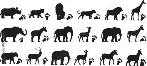 Safari animal silhouette set lion elephant giraffe rhino isolated white background wildlife vector illustration collection