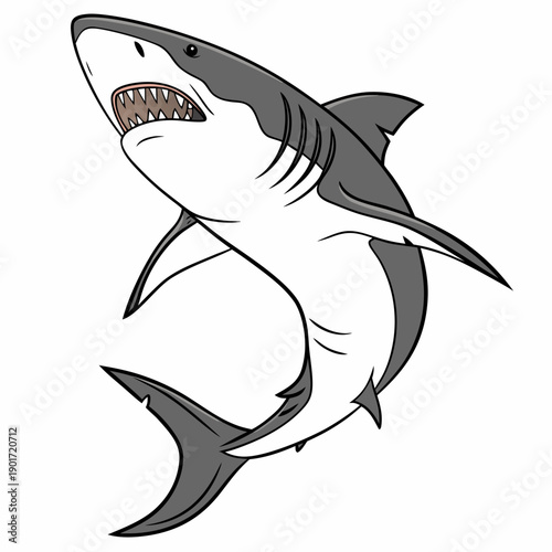 Gray shark in aggressive stance with mouth open cartoon shark