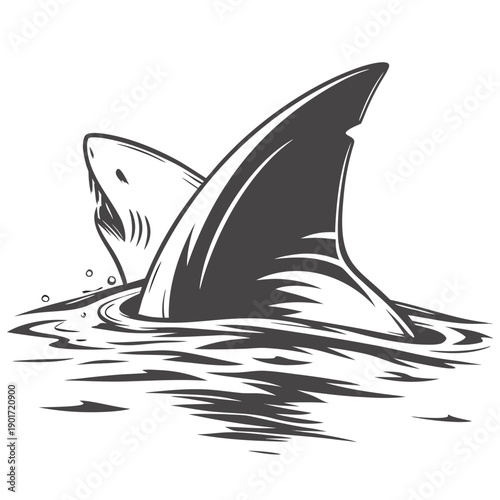 Shark dorsal fin cutting through water surface ocean