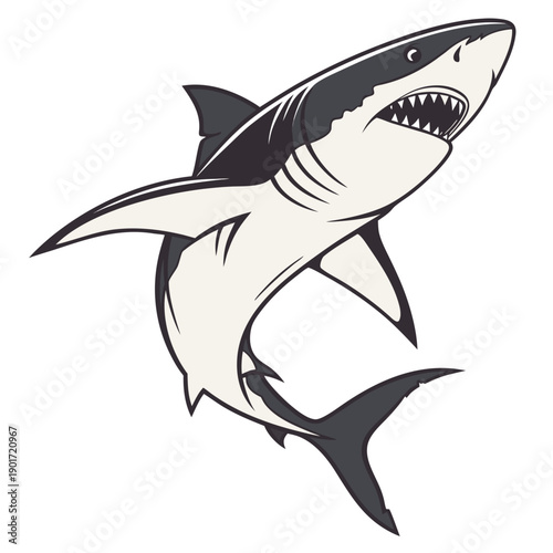 Shark in aggressive stance with open mouth and sharp teeth