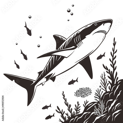 Shark swimming near ocean floor with seaweed and small fish