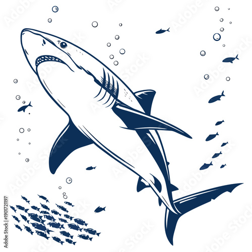 Shark swimming with school of fish underwater ocean 1
