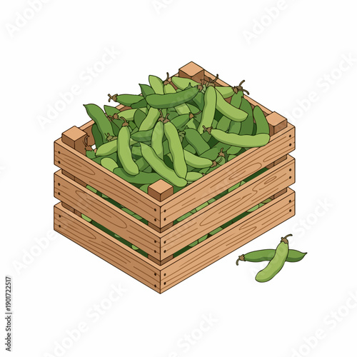 Isometric Handdrawn Wooden Crate with Fresh Snap Peas Farm Product