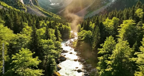 Wallpaper Mural River flowing through dense forest landscape. Torontodigital.ca