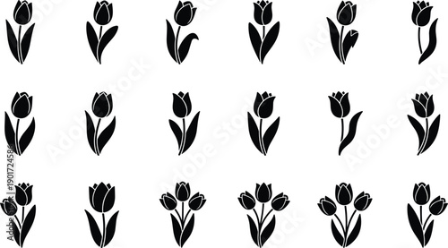 Tulip flower silhouette icon set representing floral botanical nature spring garden decoration romantic vector illustration modern design