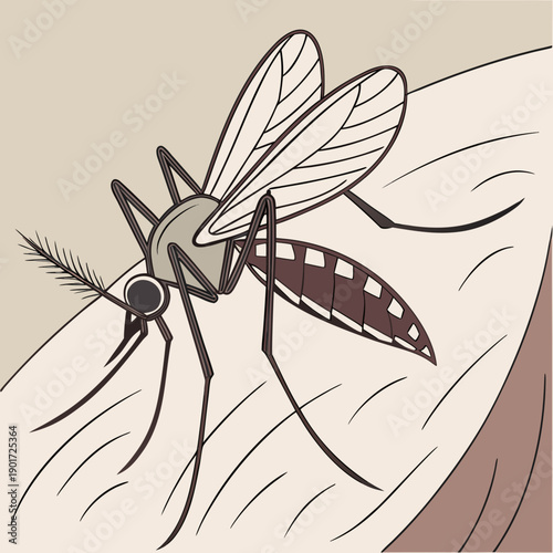 Mosquito feeding on skin with detailed body texture