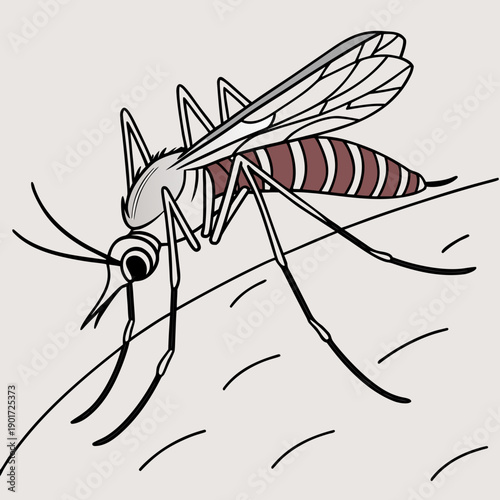 Mosquito feeding on skin with realistic body texture 1