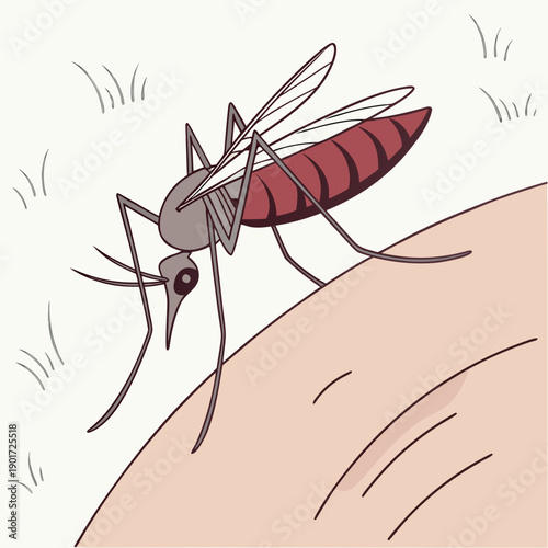 Mosquito perched on human skin ridge insect cartoon