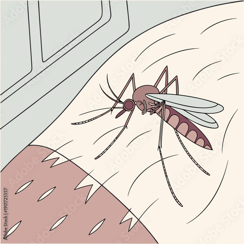 Mosquito resting on skin with fine hair texture near window