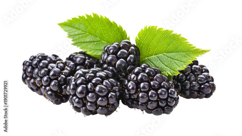 A bunch of black berries with green leaves on top