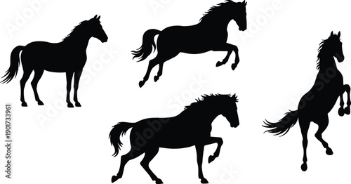 Horse silhouette vector set showing standing running jumping and rearing poses isolated on white background for equestrian design projects