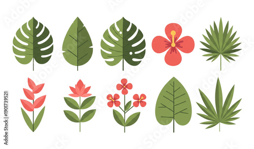 A colorful vector illustration of various tropical leaves and flowers