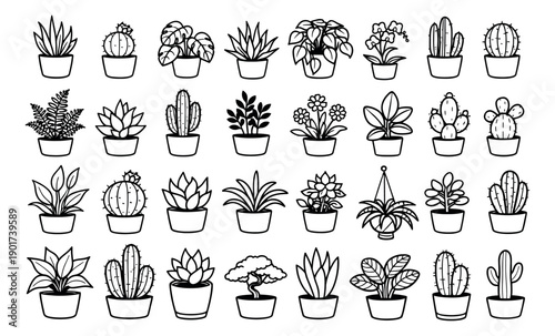 Hand drawn line art houseplants set featuring various popular indoor plants for home decoration