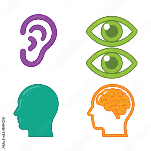Eye and ear with head silhouette vector set, sensory perception icons for psychology lesson, biology lab, health education resources