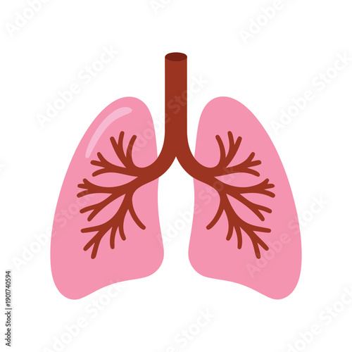 Pink lungs anatomy vector illustration with bronchi, respiratory system icon for medical presentation, biology class, healthcare education poster template