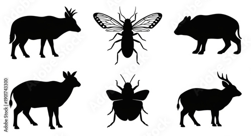 Collection of Animal and Insect Silhouettes.