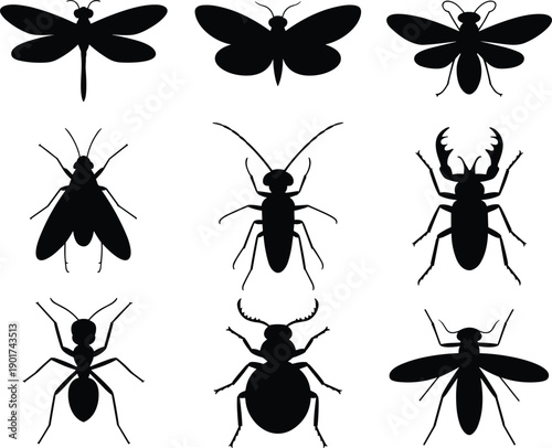 Insect Silhouette Collection Set with Dragonfly Butterfly Bee Fly Beetle Ant and Wasp Vector Icons Isolated on White Background for Design