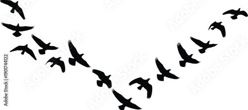 Majestic Flock of Birds Flying in V Formation Silhouette Isolated on White Background for Migration Wildlife Nature and Freedom Graphic Design Concepts