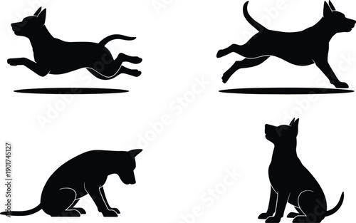 Set of Black Dog Silhouettes Featuring Belgian Malinois or German Shepherd Pups in Running Jumping Sitting and Attentive Training Poses Collection